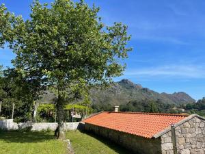 Casa dAvó Lina - Gerês