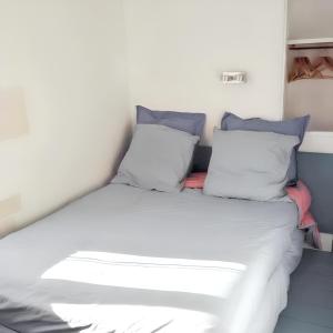 Maisons de vacances Maison conviviale a Sainte-Marie-de-Re, 42 m², jardin : photos des chambres