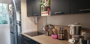 Appartements Entre terre et mer : photos des chambres