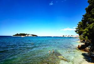 Stay in the heart of Poreč - 50m to the beach