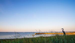 -SUNSET- Front de mer avec terrasse et parking