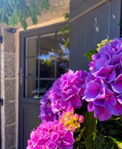 -PETREL- Maison de campagne avec grand jardin