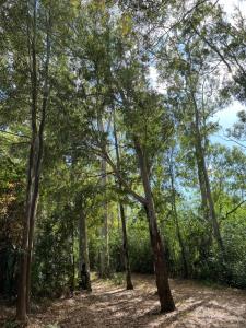 Villa Rosa Marì img19