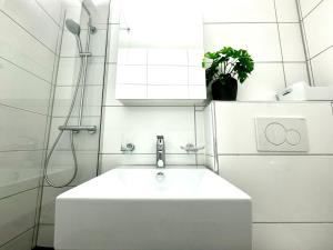 Studio mit See- und Bergblick