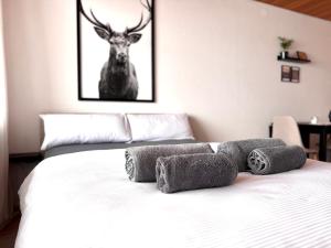 Studio mit See- und Bergblick