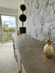 Appartements Le Tropical Home : photos des chambres