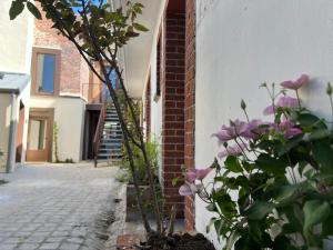 B&B / Chambres d'hotes Le chene fleuri : photos des chambres