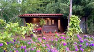 O Cantinho de Coura - a cabana - 3hvězdičkové hotely ve městě Paredes de Coura