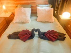 Campings Chalet, Oasis et vue mer,proxi circuit Paul Ricard : photos des chambres