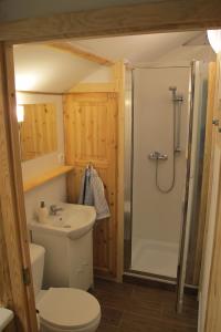 domki na leśnej polanie