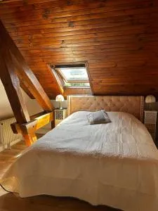 Gite "Au Cœur des Vosges" - Remoneix