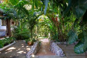 Cozy Getaway in Trancoso - BAH054