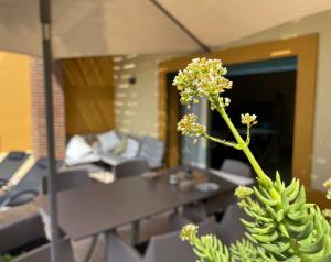 No14 Lote B, Quinta da Belavista