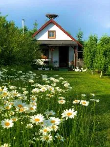 Domek przy Azylu Bocianim - Kozielec