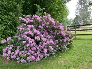 Etzauer Mühle - Waldsolms