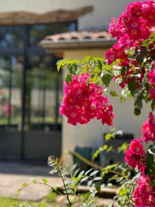 Maisons d'hotes LE DOMAINE DE FERRAT : photos des chambres