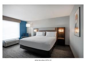 Standard King Room room in Holiday Inn Express Wilson I-95 an IHG Hotel