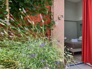 Hotels Hotel Le Colbert : photos des chambres