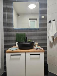 Mali Raj - self check in