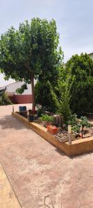 CASA RURAL EL TEJAR