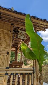 B&B / Chambres d'hotes Suite Bambou Bien-etre a Bali - Le soleil des Cevennes : photos des chambres