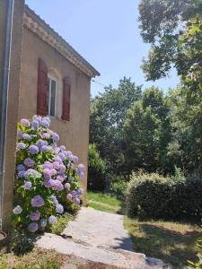 B&B / Chambres d'hotes Suite Bambou Bien-etre a Bali - Le soleil des Cevennes : photos des chambres