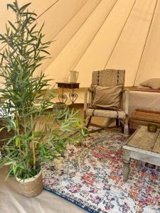 Chambre au jardin Tente de charme