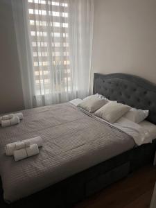 Apartamentai Malūno g