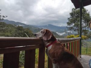 Eco Hotel Birdland en Buga Valle