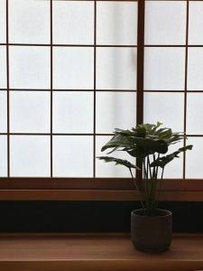 大阪独栋民宿 电车至难波道頓堀6分钟 可住4-8人 新房源homie