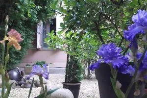 Le Despeyrous gite en ville - Esparsac