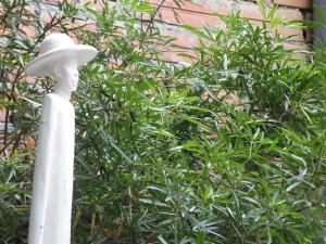 Appartements Le Despeyrous gite en ville : photos des chambres