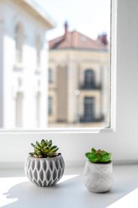 Appartements Le Studio Saint-Pierre - Dax : photos des chambres