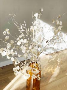 Appartements Fenetre sur Cour - Albi Centre - Parking Prive : photos des chambres