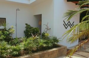 Waves & Wifi - Coworking & Coliving Space in Popoyo