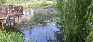 Apartament pod Górą Witosza