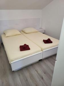 Apartman Ane