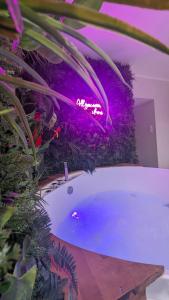 SUITE Rochamore troglodyte Romantique et Unique