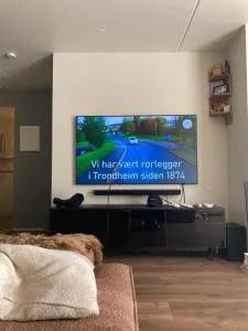 Nyoppusset og sentral leilighet i vakre Ila - Vannvikan