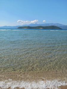 Oasis luxury apartments