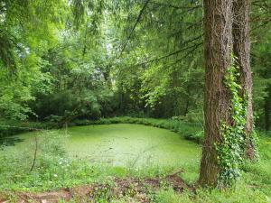 B&B / Chambres d'hotes au grain de folie : photos des chambres