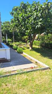 Apartment Frani 1 (Pag, Croatia, 2+2, free parking)