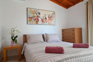 Ibiscus Cottage in Paradisi near the Beach