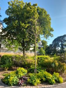 Appartements Appart dans petit chateau en centre ville : photos des chambres