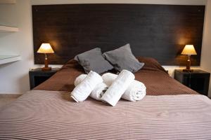 QHAWANA CABAÑAS & SUITES