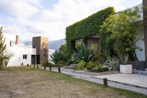 QHAWANA CABAÑAS & SUITES