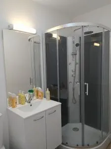 Locatif gare Lille Europe Souvenir - Lille