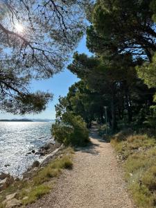 Apartments Mustel Drage 