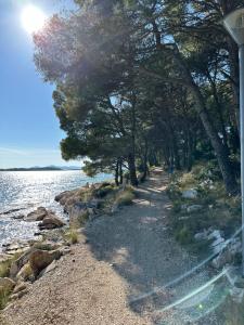 Apartments Mustel Drage 