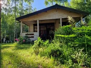 Sosnowa Odnowa - domek na Mazurach z sauną i balią - Hartowiec